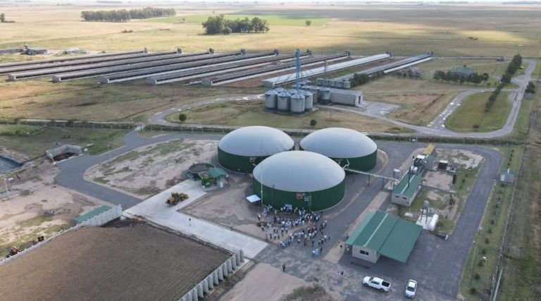 El biometano podría cubrir hasta el 10% de la demanda de gas de la Argentina El biometano podría cubrir hasta el 10% de la demanda de gas de la Argentina
