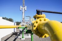 Mercado de carbono: qué necesita Argentina para atraer inversiones y qué oportunidad se abre para Neuquén