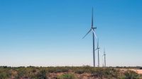 Río Negro acelera su apuesta eólica con un proyecto clave de 300 MW en la Región Sur